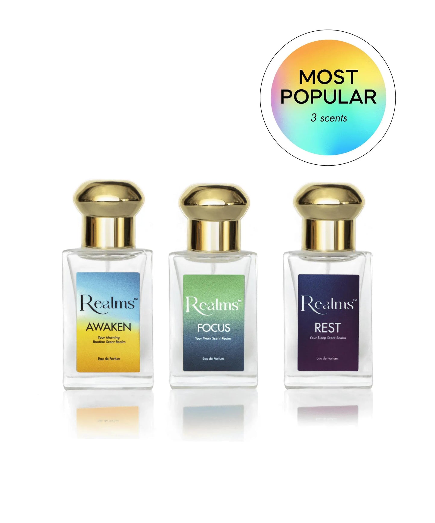 Realms Bundle Pro (Most Popular)